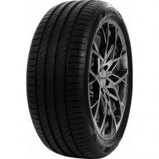 Летние шины 245/50 R18 Delinte DS2-RFT 100Y