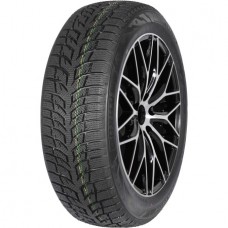 Зимние шины 205/55 R16 Autogreen Snow Chaser 2 AW08 91H